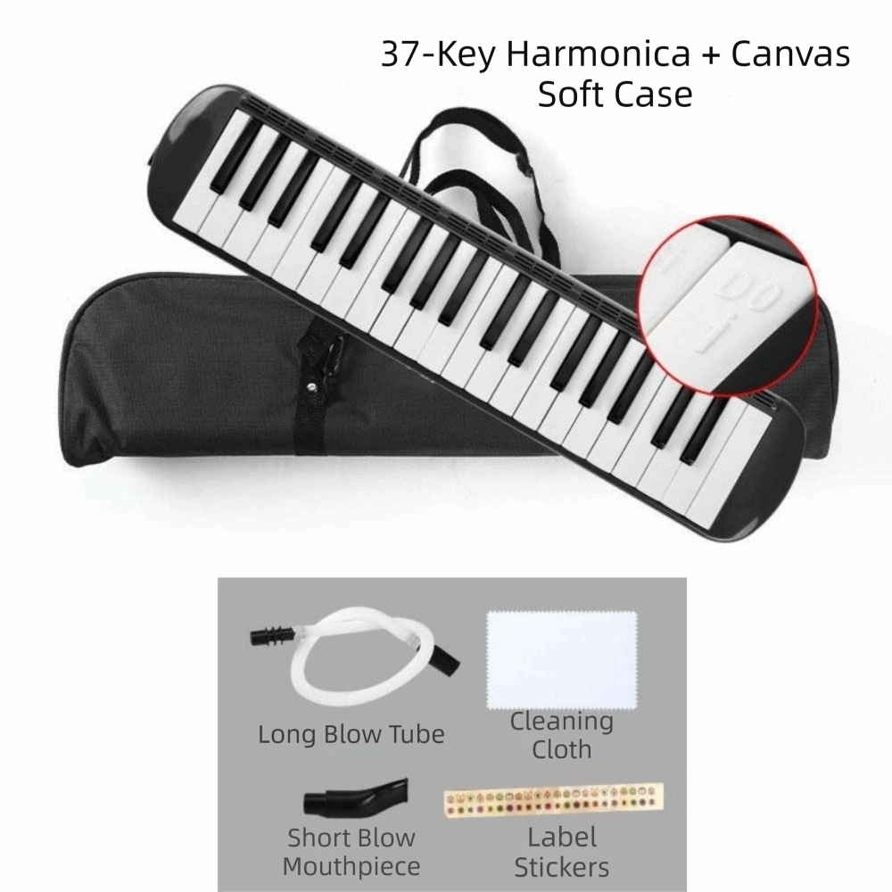37 Keys Melodica Instrument So - Musical Instrument Melodica review and price