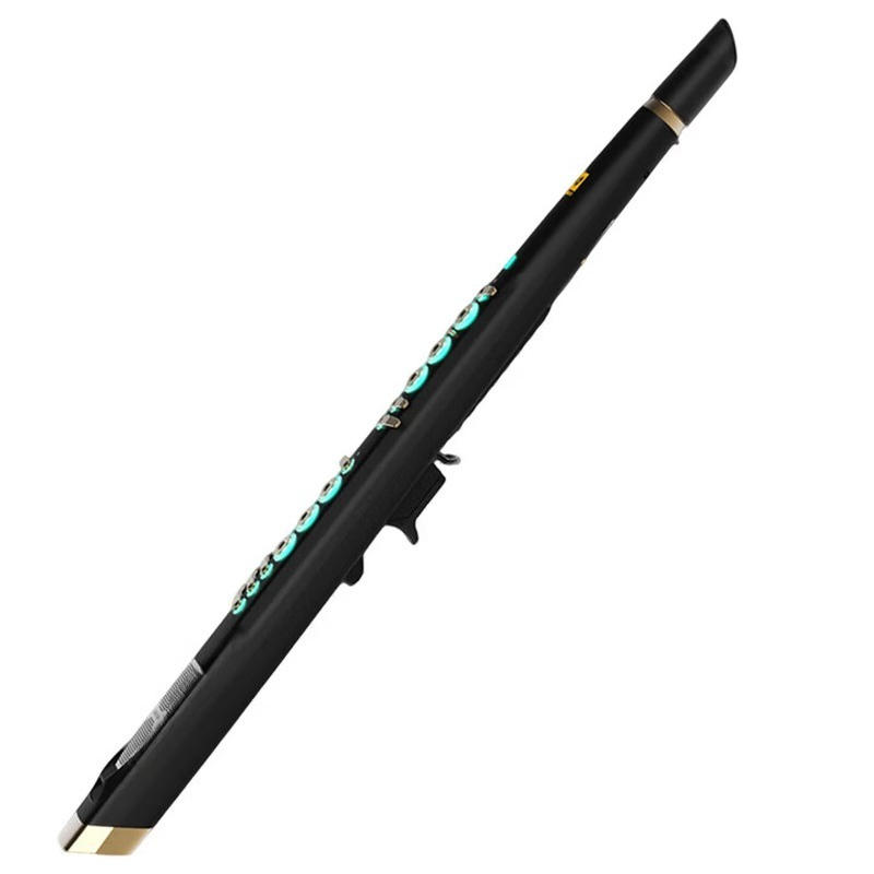 C20 true sampling domestic hig - Musical Instrument That You Blow Into review and price