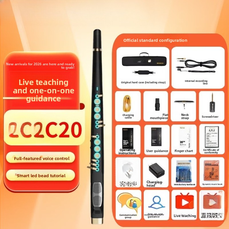 C20 true sampling domestic hig - Musical Instrument That You Blow Into review and price