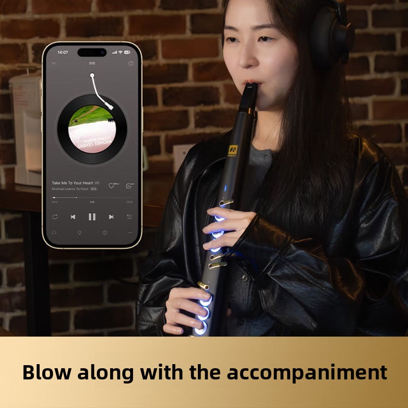 C20 true sampling domestic hig - Musical Instrument That You Blow Into review and price