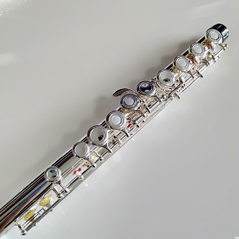 Professional Top Japan FL-471  - Musical Instrument Japan review and price