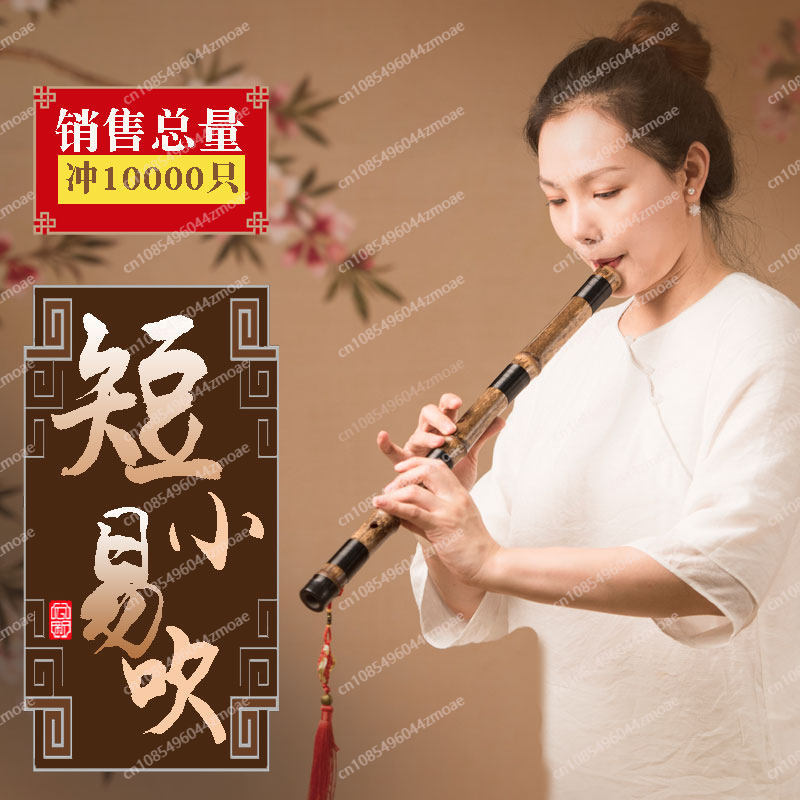 Professional play hole flute o - Musical Instrument That You Blow Into review and price