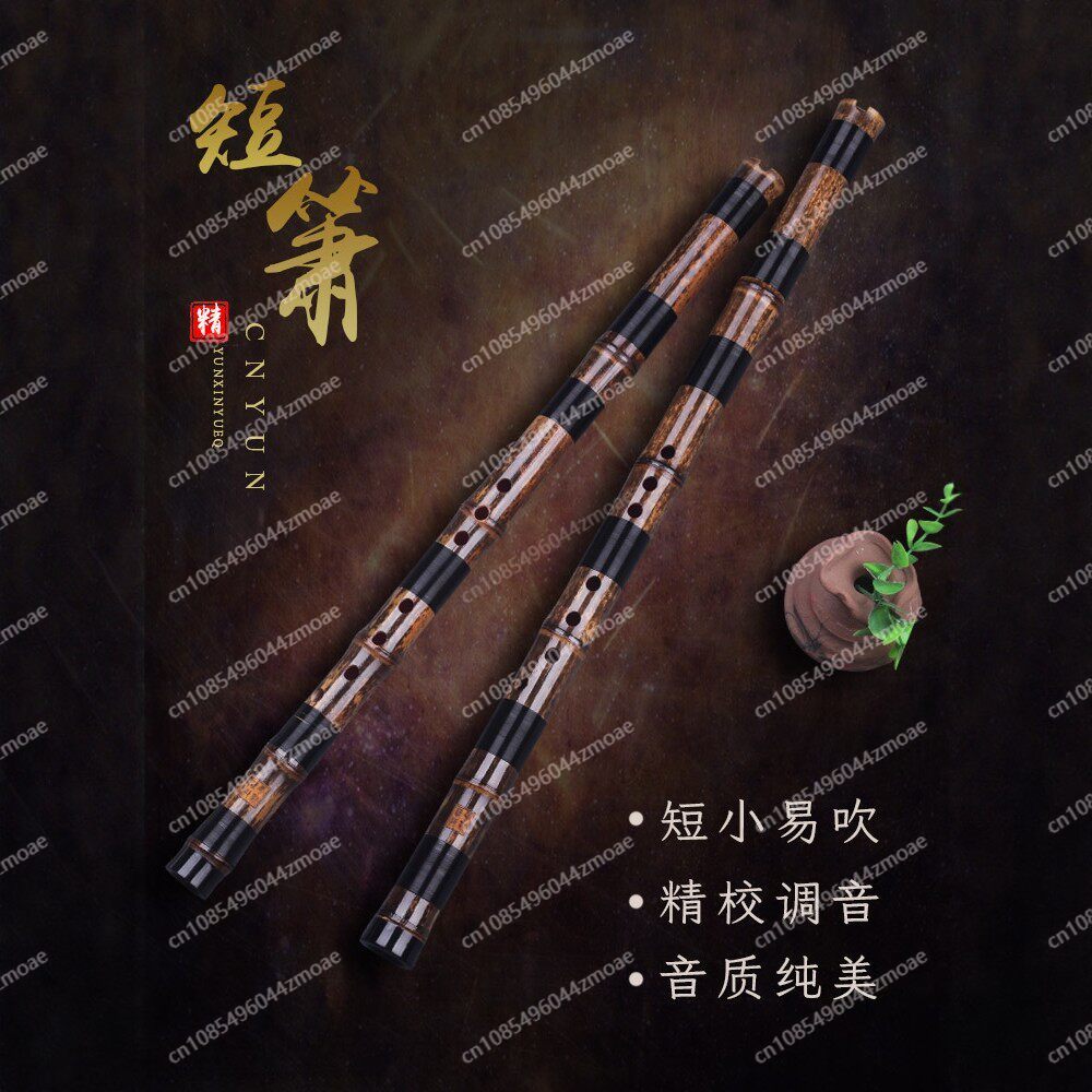 Professional play hole flute o - Musical Instrument That You Blow Into review and price