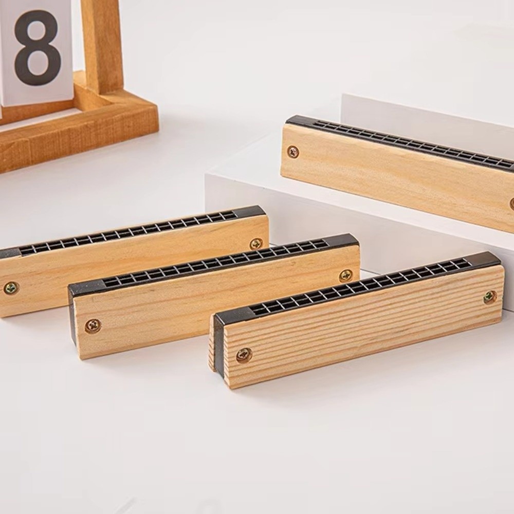Creative DIY Little Harmonica  - Musical Instrument Melodica review and price