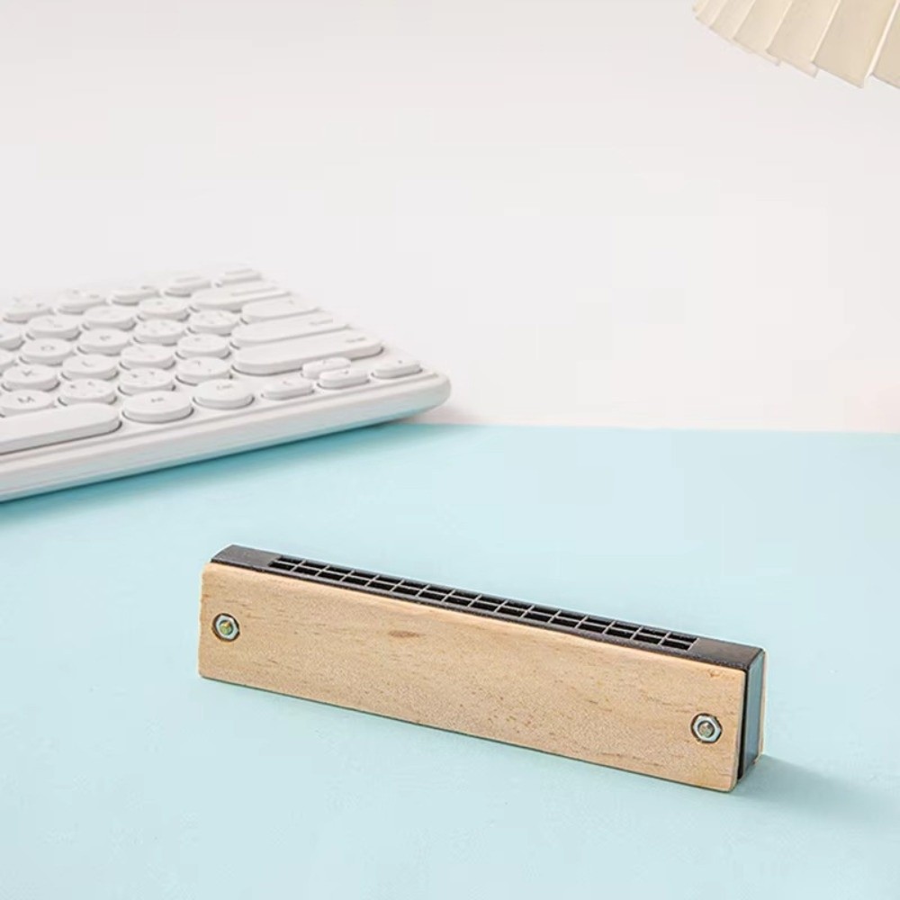 Creative DIY Little Harmonica  - Musical Instrument Melodica review and price