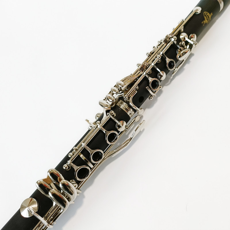 Brand Buffet Crampon Prodige B - Musical Instrument Brands review and price