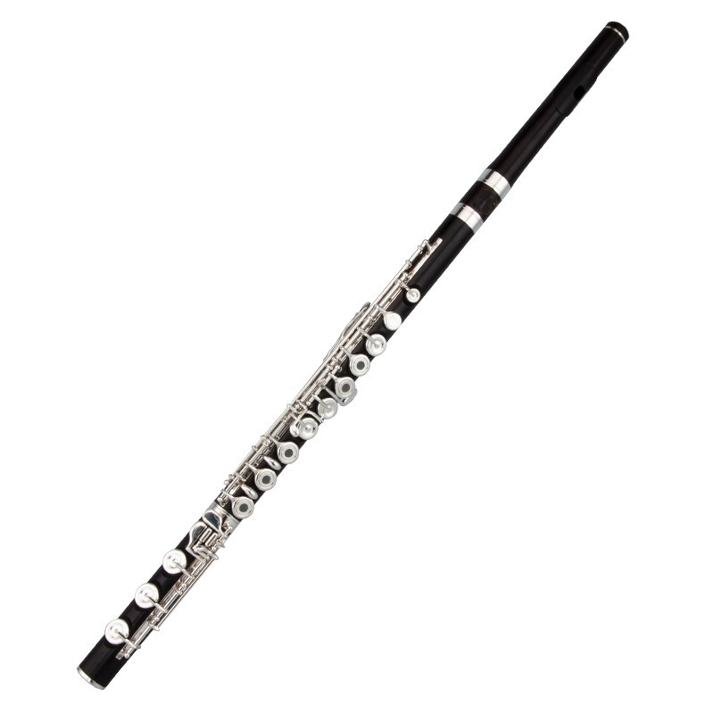 Professional Top Japan C Key 1 - Musical Instrument Japan review and price