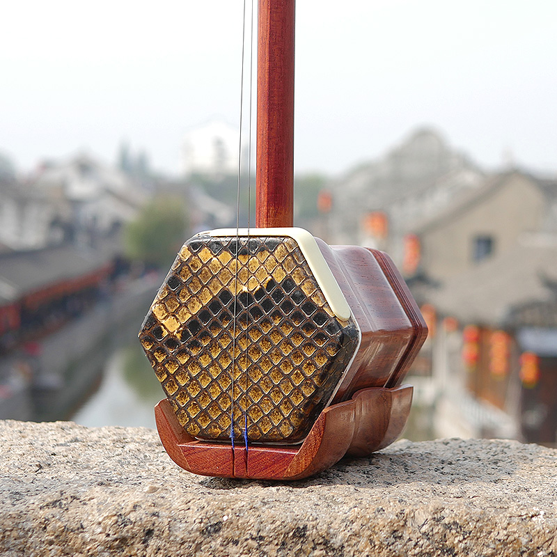 Professional Dunhuang Brand 06 - Musical Instrument Brands review and price