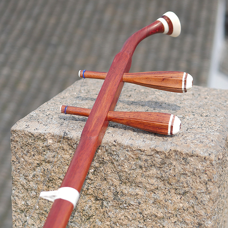 Professional Dunhuang Brand 06 - Musical Instrument Brands review and price