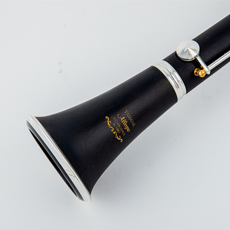 Japan Brand New Professional W - Musical Instrument Brands review and price