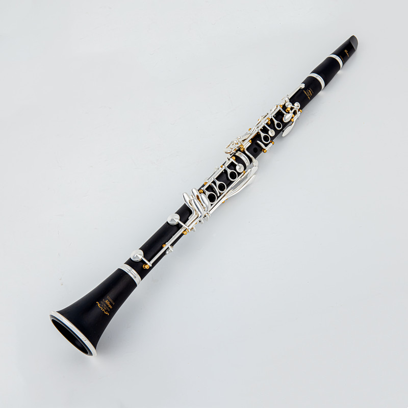 Japan Brand New Professional W - Musical Instrument Brands review and price