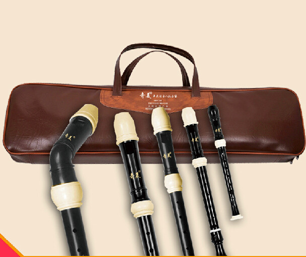 Full Set ABS Resin Recorder Fl - Recorder Baroque Style review and price