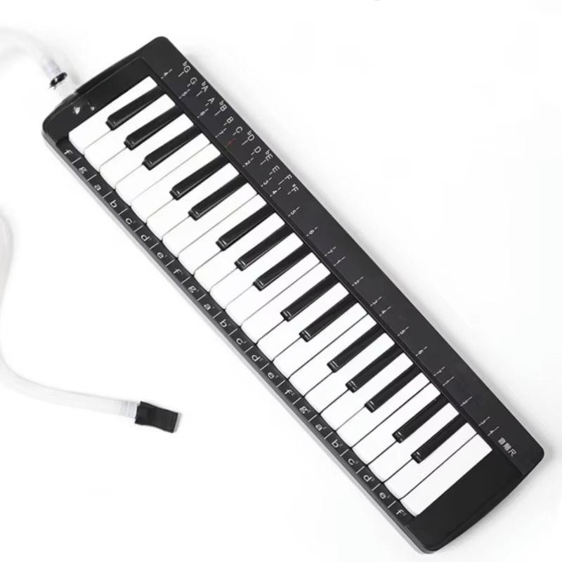 37 Key Professional Melodica S - Musical Instrument Melodica review and price